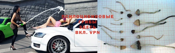 трава Володарск