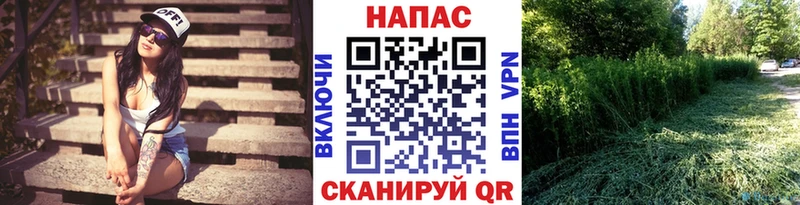 МАРИХУАНА White Widow  как найти наркотики  Братск 